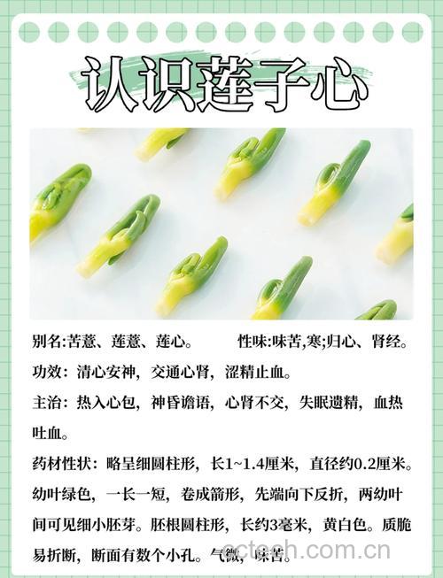 女人喝莲子心的好处