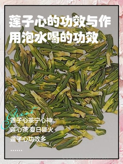 莲心泡茶的作用与功效 莲心有什么功效