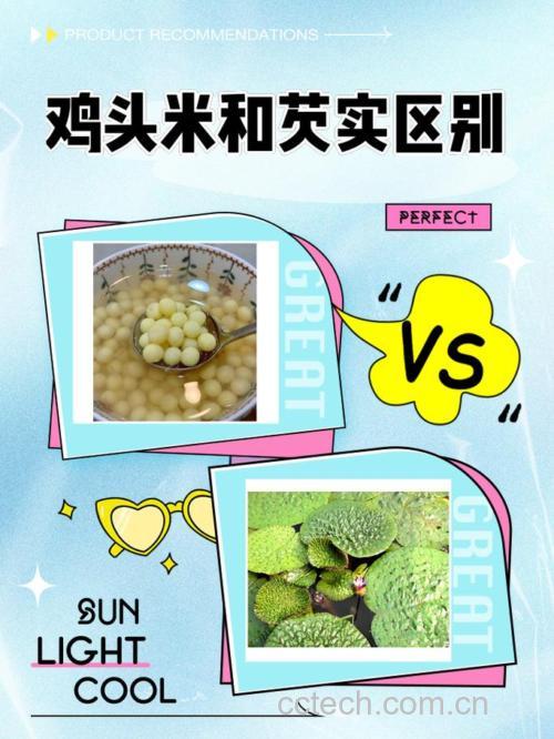 芡实是什么?芡实米是米吗?与鸡头米、芡实仁的区别
