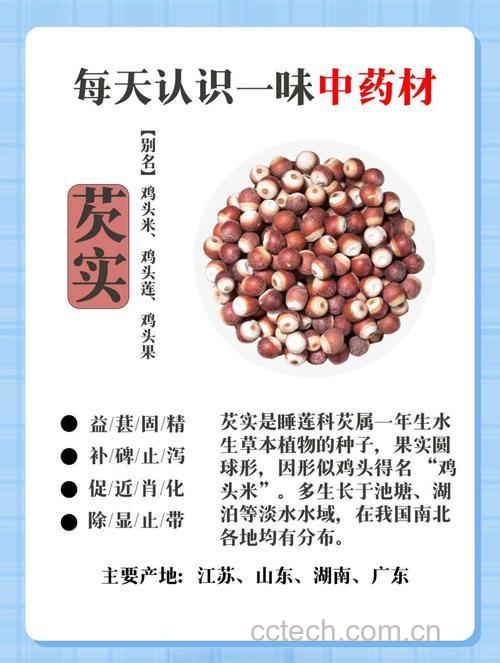 女人常吃芡实的好处与坏处 会发胖吗?能美容养颜吗?