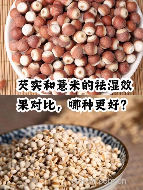 芡实与薏米的区别:哪个祛湿更好?能一起吃吗?