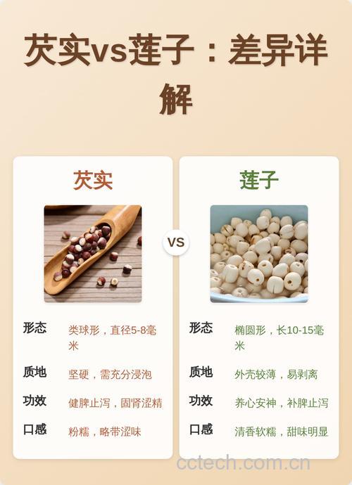 芡实与莲子的区别:功效与作用有何不同?