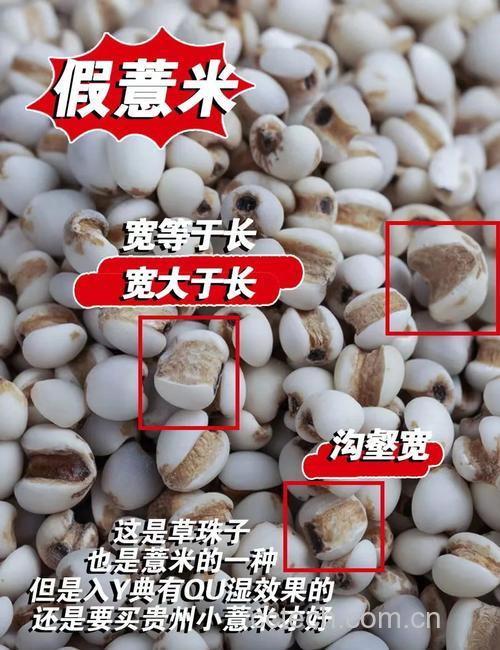 芡实与薏米仁的区别:外形、功效、药效对比