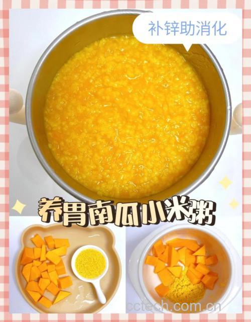 南瓜泥粥的做法：小米南瓜泥粥、大米南瓜泥粥