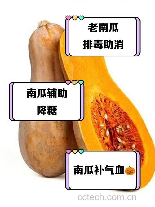 老人吃南瓜泥的好处:易消化、助排便