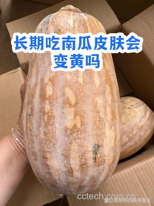 吃南瓜泥皮肤会变黄吗?南瓜素沉着是真的吗?