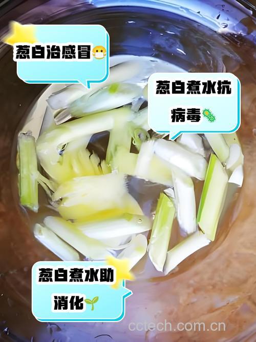葱白粥可以用葱叶代替吗？葱白和葱叶的区别