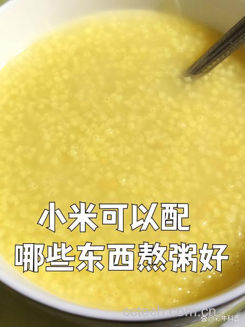 葱白大米粥与葱白小米粥的区别与功效
