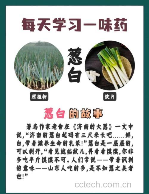 葱白粥加盐还是加糖？哪种调味更有效？