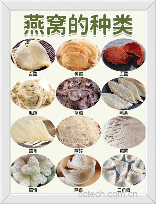 燕窝功效与作用原料介绍营养分析适宜人群食用指导食疗作用食材文化