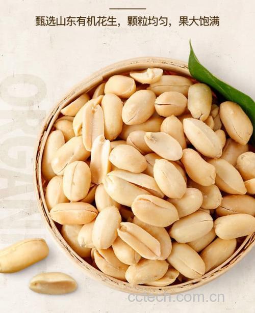 花生仁(炸)功效与作用原料介绍营养分析适宜人群食用指导食疗作用
