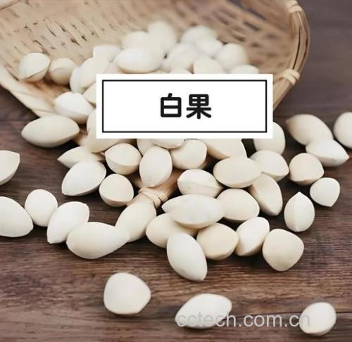 白果(干)功效与作用原料介绍营养分析食用指导食材文化