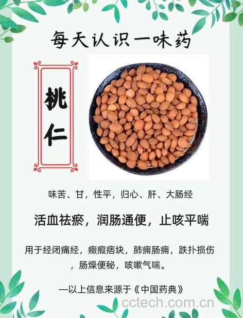 桃仁功效与作用原料介绍食材文化