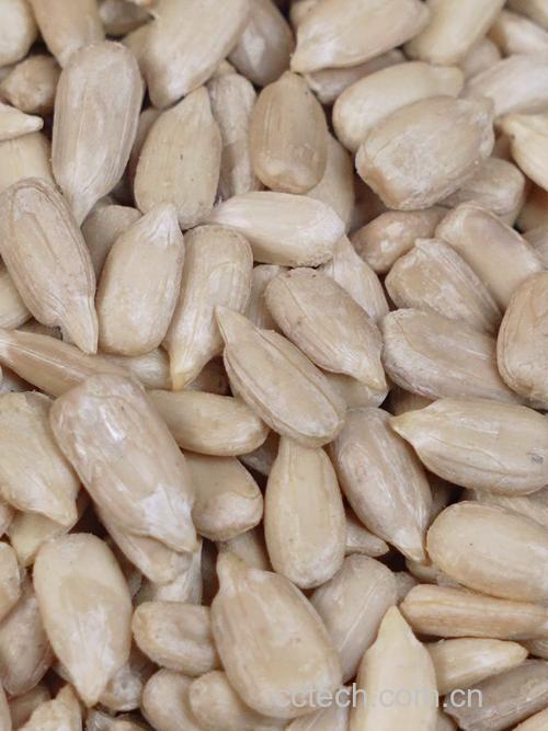 葵花子仁功效与作用原料介绍营养分析适宜人群食疗作用