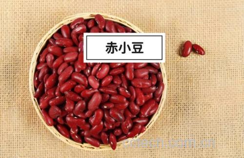 赤小豆功效与作用原料介绍营养分析适宜人群食用指导食材文化