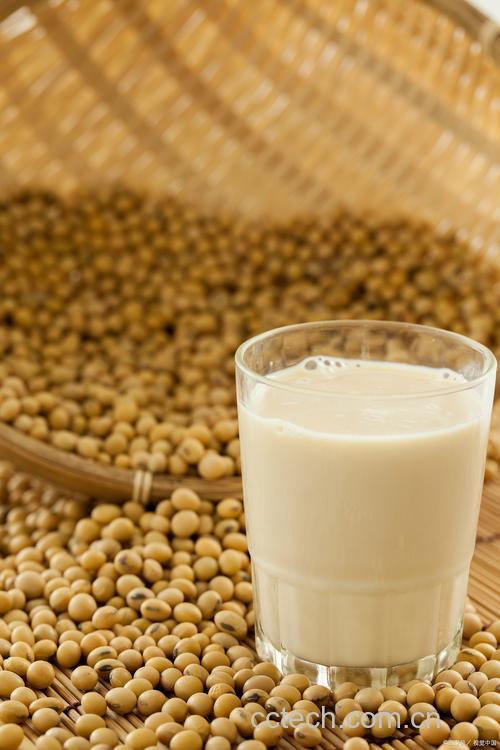 豆浆功效与作用原料介绍营养分析食用指导食材文化