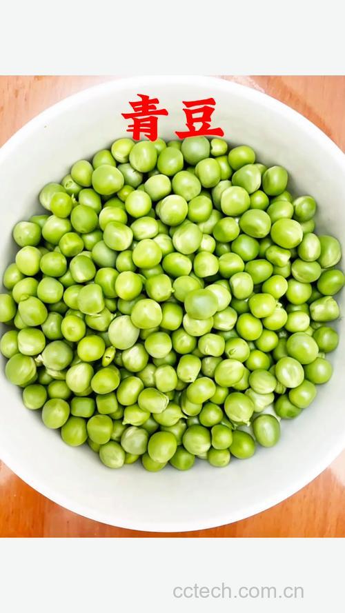 青豆功效与作用原料介绍营养分析适宜人群食疗作用