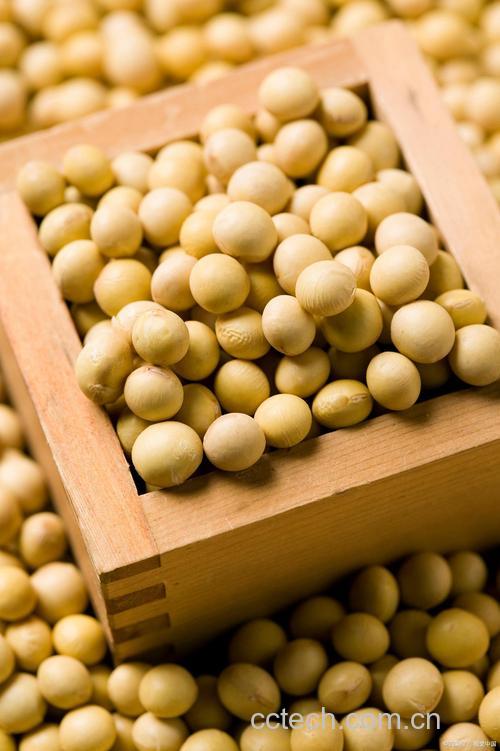 大豆功效与作用原料介绍营养分析适宜人群食用指导食疗作用食材文化