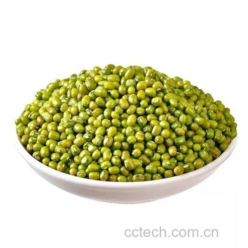 绿豆功效与作用原料介绍营养分析食用指导食材文化