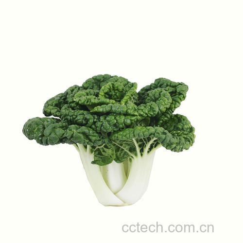 乌菜功效与作用原料介绍营养分析适宜人群食用指导食疗作用