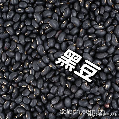 黑豆功效与作用原料介绍营养分析适宜人群食用指导食材文化