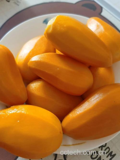 芒果功效与作用原料介绍营养分析食材文化