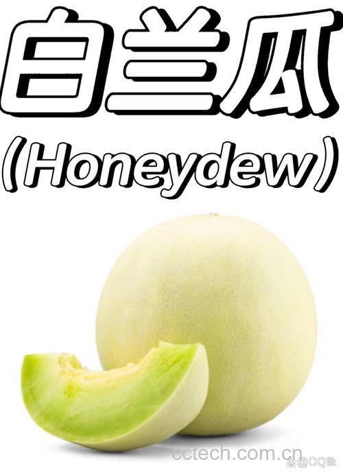 白兰瓜功效与作用原料介绍营养分析适宜人群食疗作用
