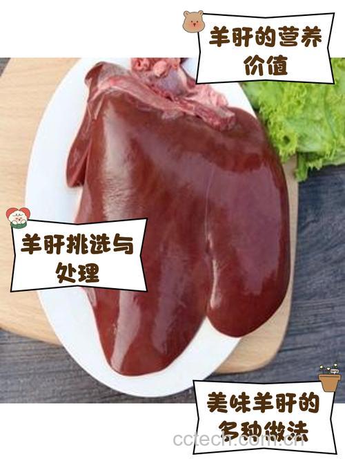 羊肝功效与作用原料介绍营养分析适宜人群食用指导食疗作用食材文化