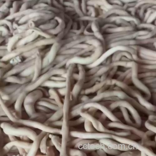 羊肥肠(大肠)功效与作用原料介绍营养分析适宜人群