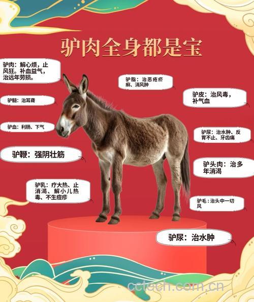 驴肉功效与作用原料介绍营养分析食用指导食材文化