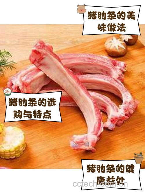 猪肋条肉(五花肉)功效与作用原料介绍营养分析适宜人群食用指导食疗作用食材文化