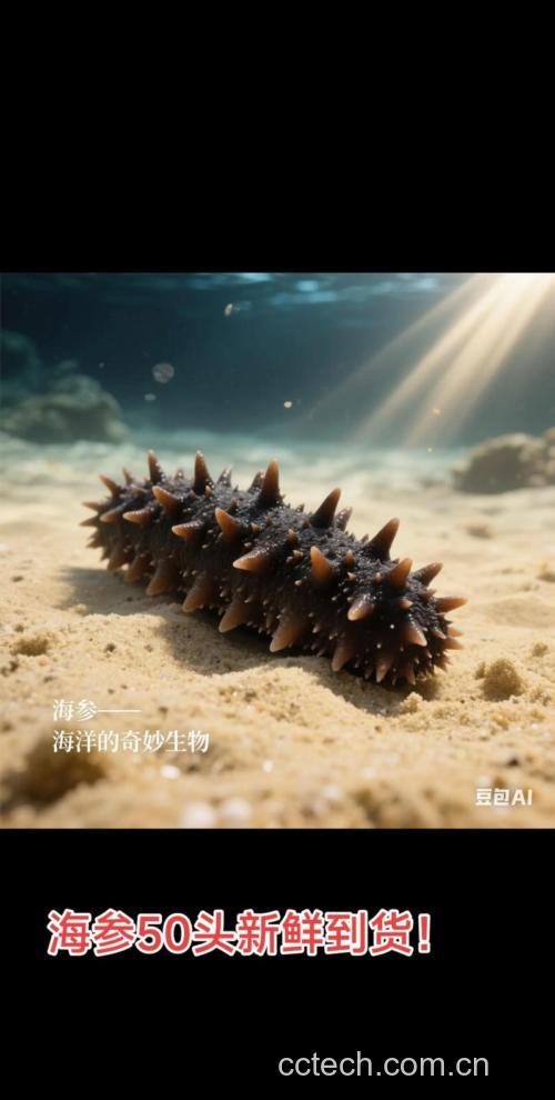 海参(水浸)功效与作用原料介绍营养分析适宜人群食用指导食疗作用食材文化
