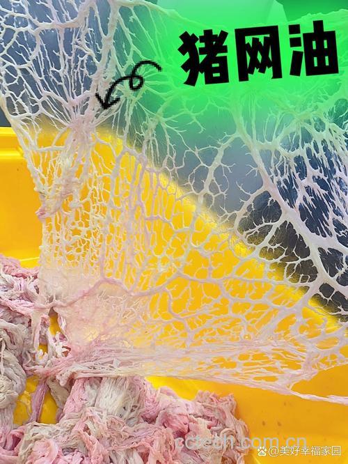猪网油功效与作用原料介绍营养分析适宜人群食疗作用