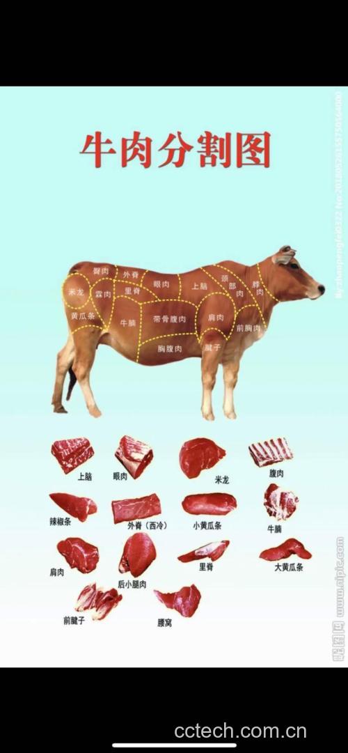 牛里脊肉功效与作用原料介绍营养分析食用指导食材文化