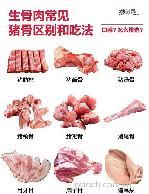 猪胫骨功效与作用原料介绍营养分析适宜人群食疗作用