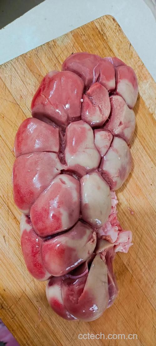 牛腰子功效与作用原料介绍营养分析适宜人群食用指导
