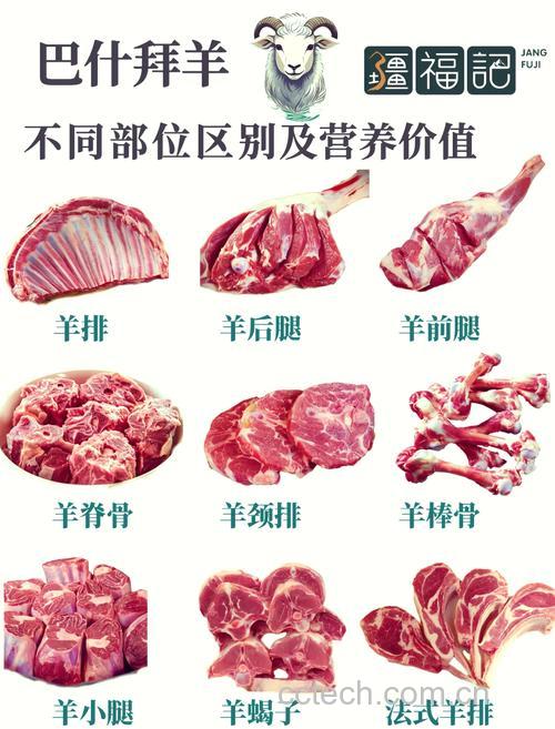 羊骨功效与作用原料介绍营养分析适宜人群食用指导食疗作用