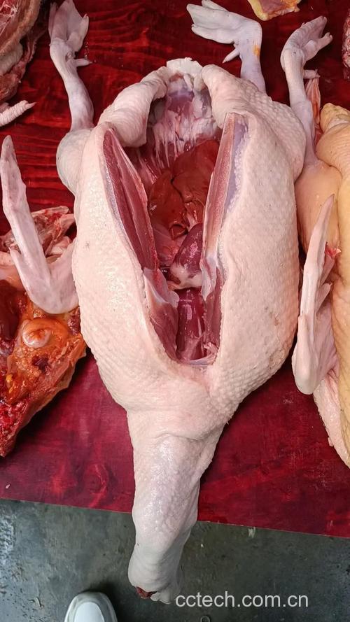 鸭肉功效与作用原料介绍营养分析适宜人群食用指导食疗作用食材文化