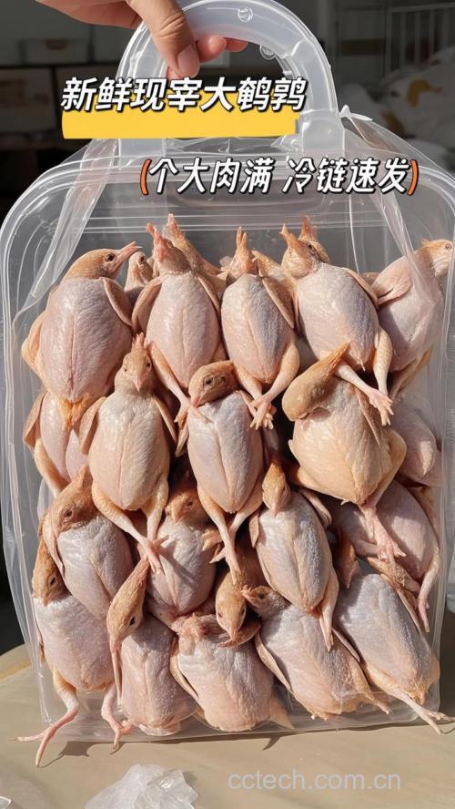 鹌鹑肉功效与作用原料介绍营养分析适宜人群食用指导食疗作用食材文化