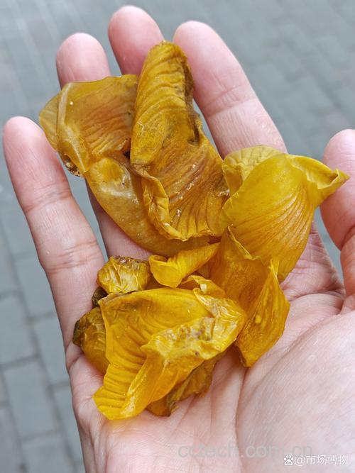 鸡内金功效与作用原料介绍适宜人群食疗作用食材文化