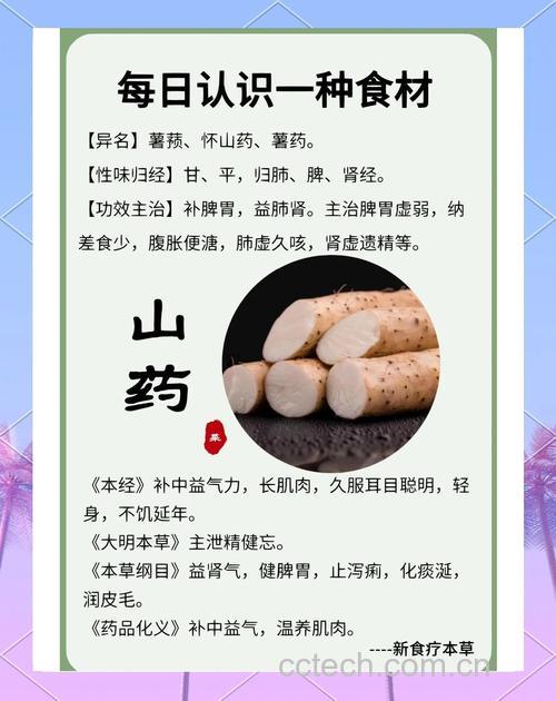 山药功效与作用原料介绍营养分析适宜人群食用指导食疗作用食材文化