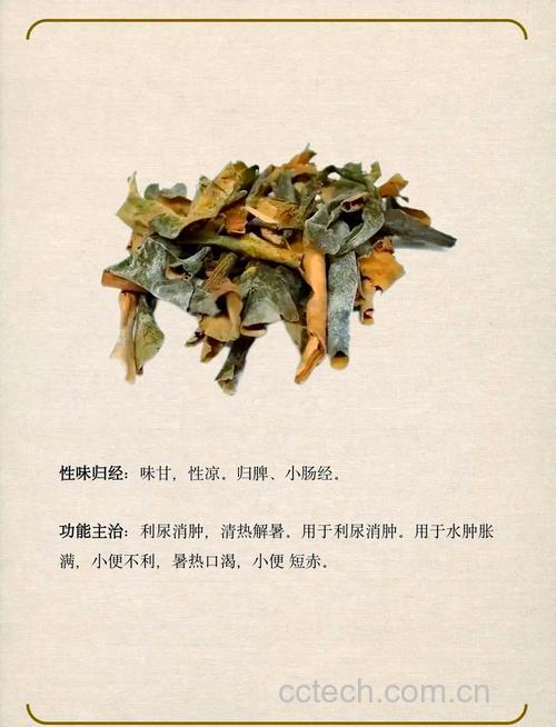 冬瓜皮功效与作用原料介绍适宜人群食用指导食材文化