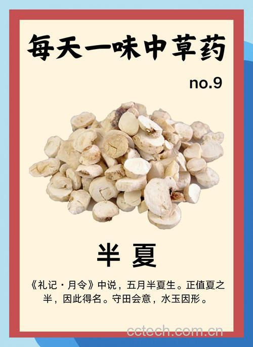 半夏功效与作用原料介绍食用指导食材文化