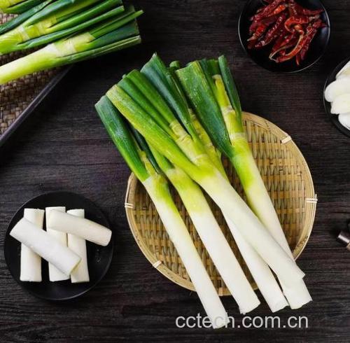 葱白功效与作用原料介绍适宜人群食用指导食材文化