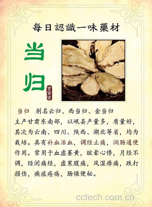 当归功效与作用原料介绍营养分析适宜人群食用指导食疗作用食材文化