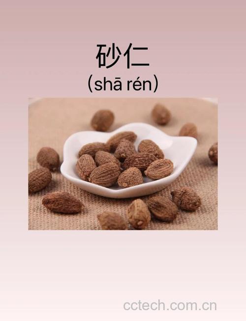 砂仁功效与作用原料介绍适宜人群食用指导食疗作用食材文化