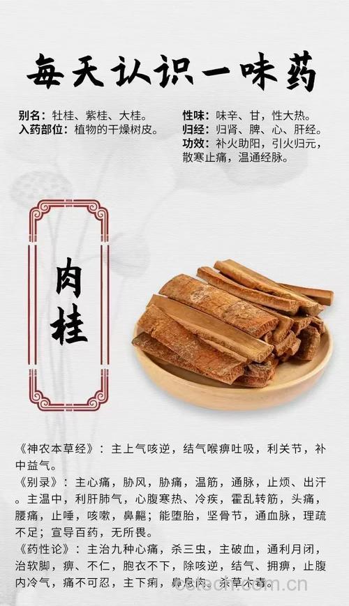 肉桂功效与作用原料介绍食用指导食材文化