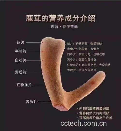 鹿茸功效与作用原料介绍食用指导食材文化