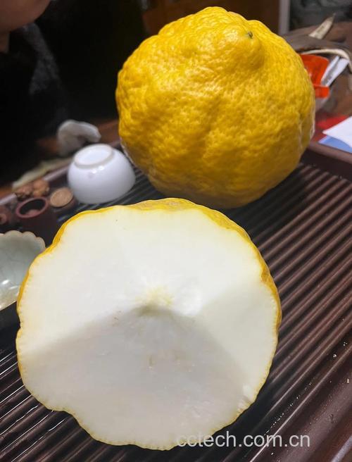 香橼功效与作用原料介绍适宜人群食用指导食疗作用食材文化