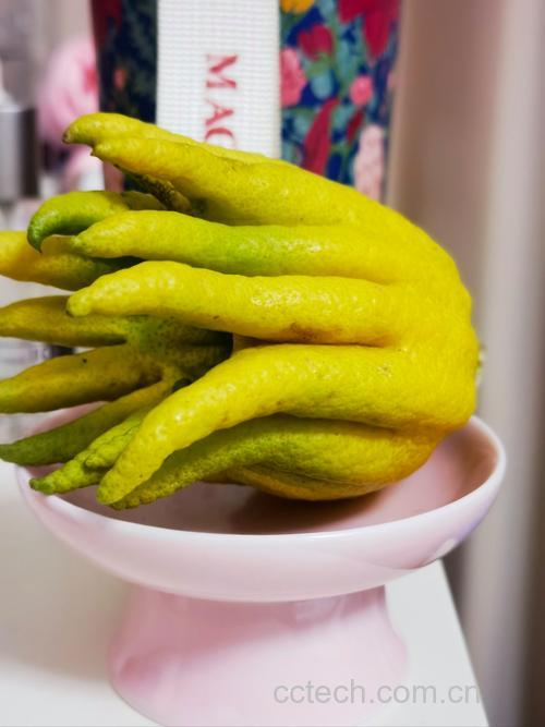 佛手功效与作用原料介绍食用指导食材文化